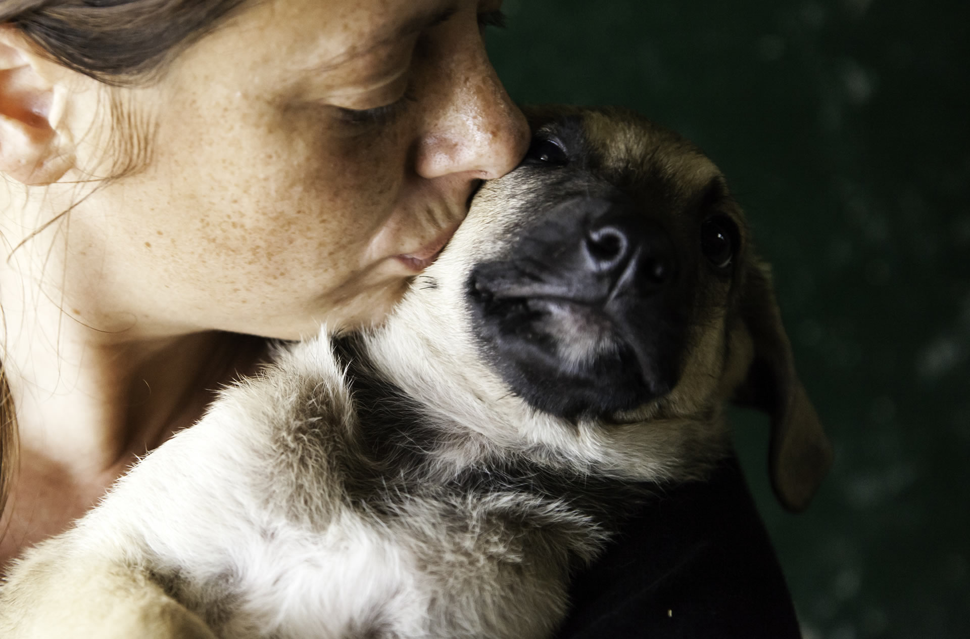 Wix-shelter-puppy-woman-kissing