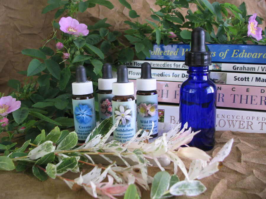 OCD in dogs - natural flower remedies