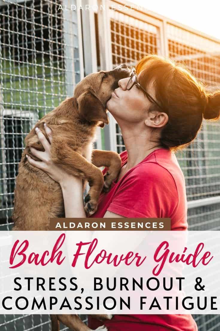 Choosing Bach Flower Essences for Burnout, Compassion Fatigue