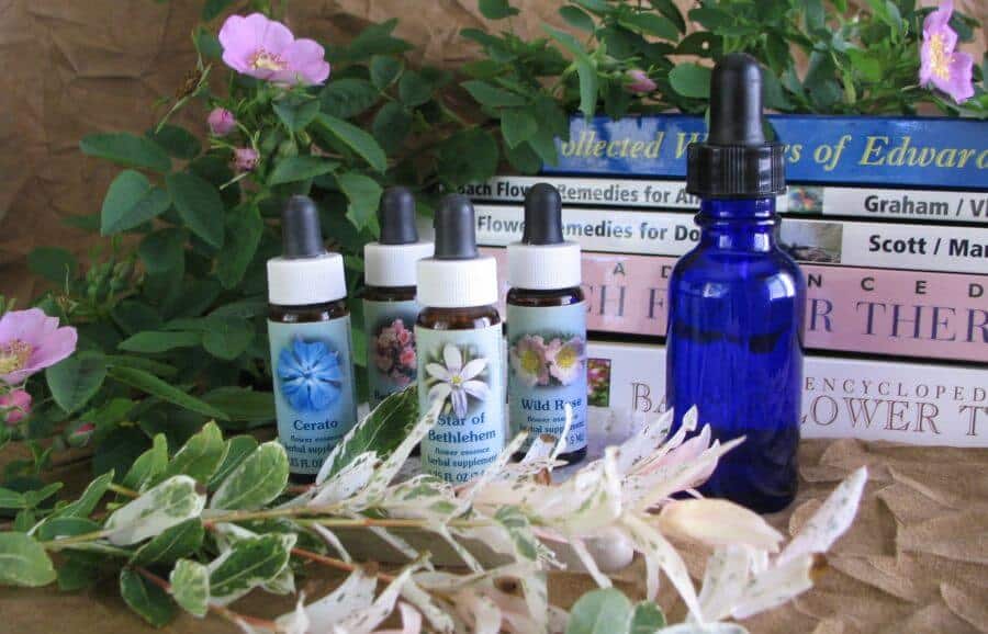 Bach flower remedies for sibling rivalry in dogs