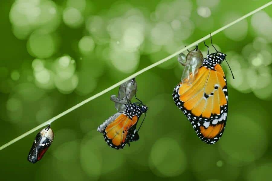 change-is-hard Change is hard - reward effort!
