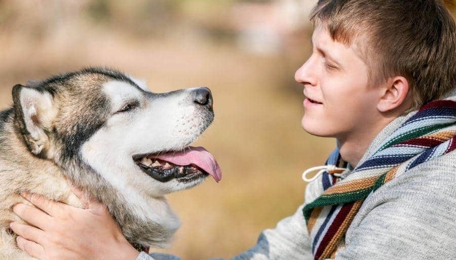 Sociability enhancing remedy for dogs
