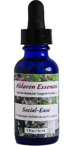 flower-essences-puppy-dog-socialization Natural remedy dog puppy socialization