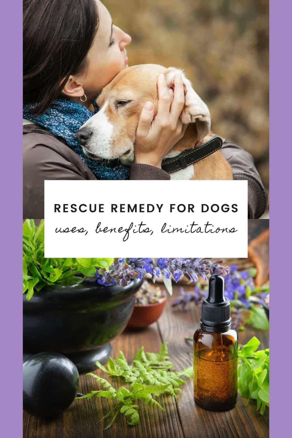 bach-rescue-remedy-for-dogs-uses-and-limitations