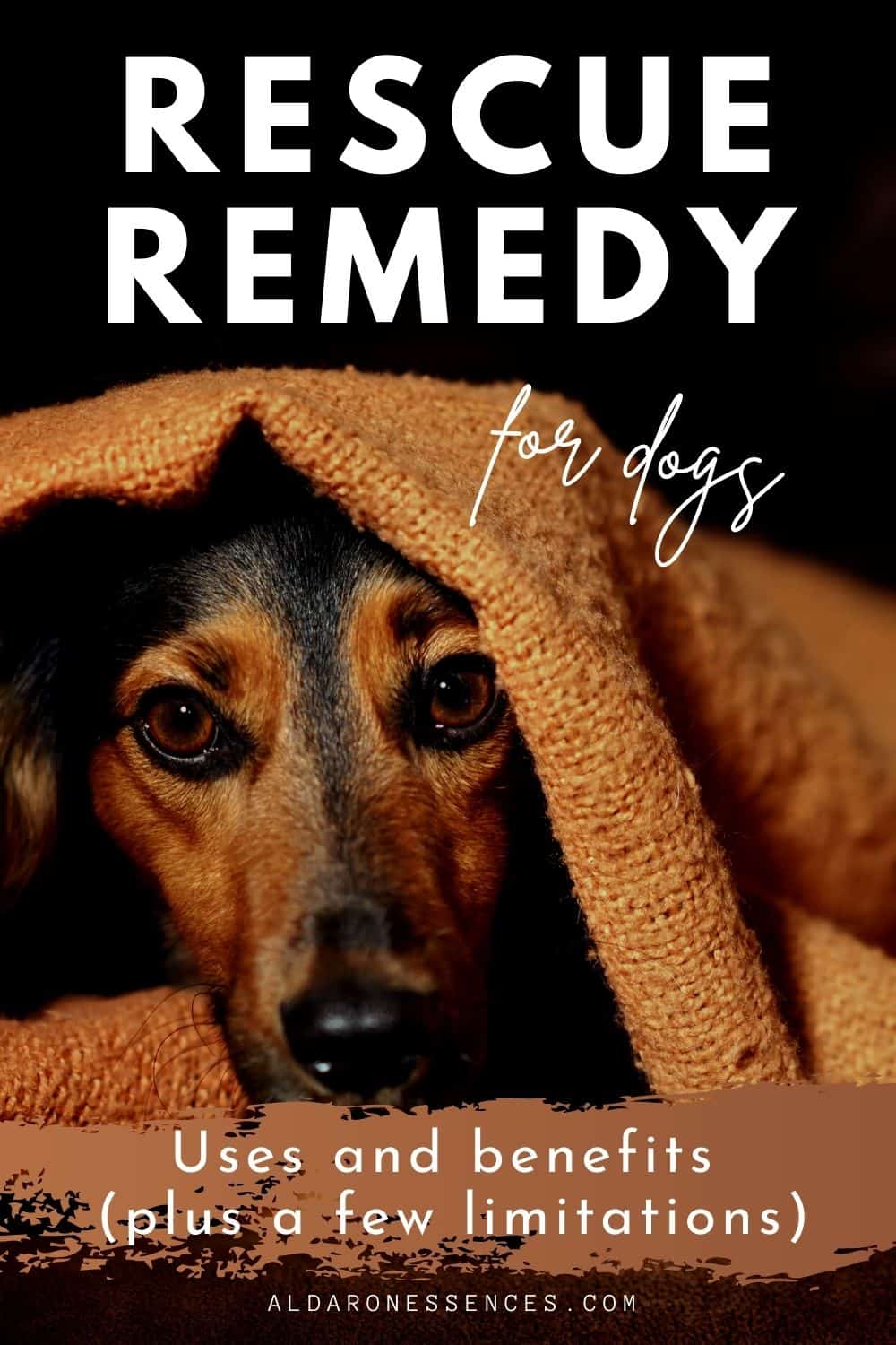 bach-rescue-remedy-for-dogs-uses-and-limitations